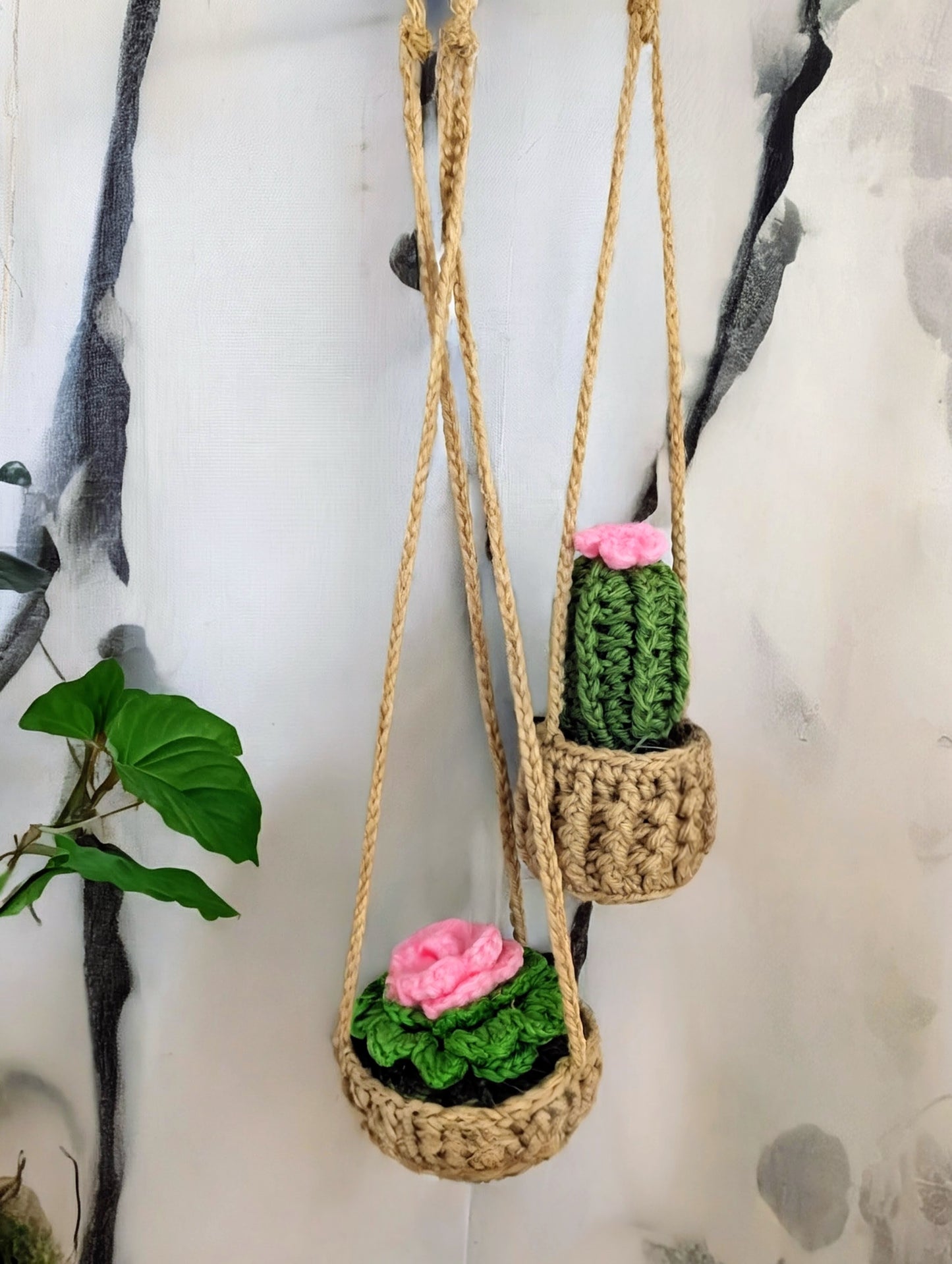 Hanging Potted Succulents