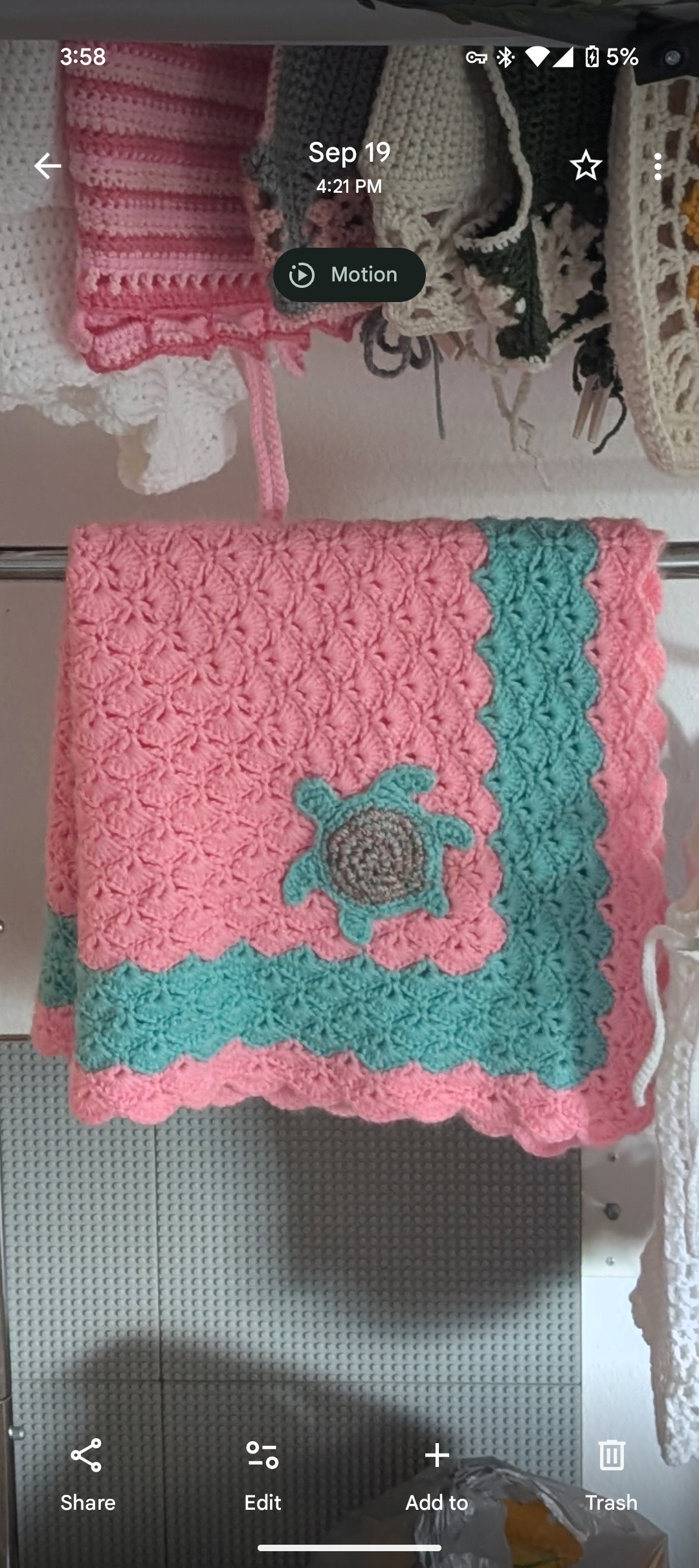 Turtle Baby Blanket